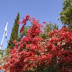 Ξενοδοχείο με διαμερίσματα Saint Louis Άνδρος
