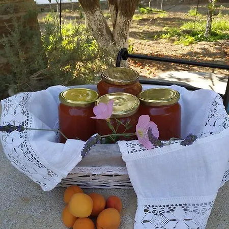 Saint Louis アパートホテル