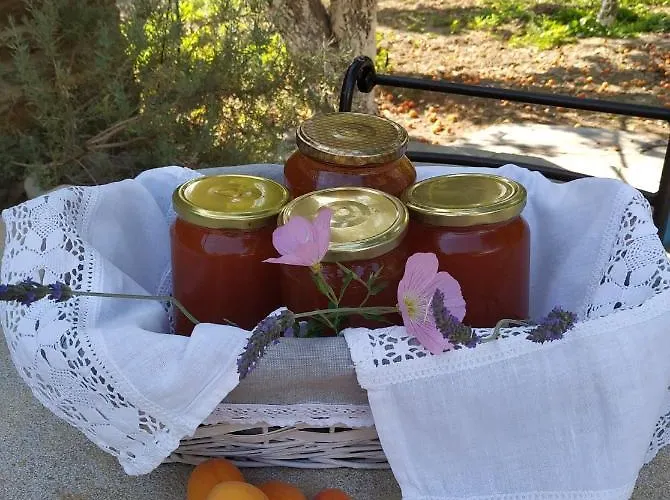 Saint Louis شقة فندقية