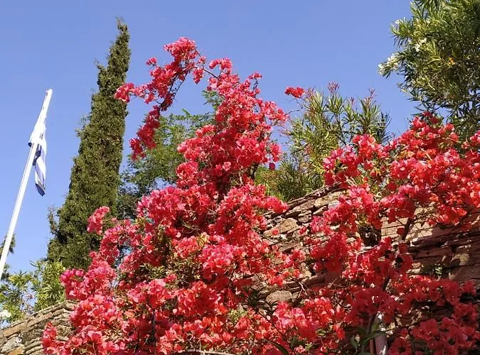 Ξενοδοχείο με διαμερίσματα Saint Louis Άνδρος