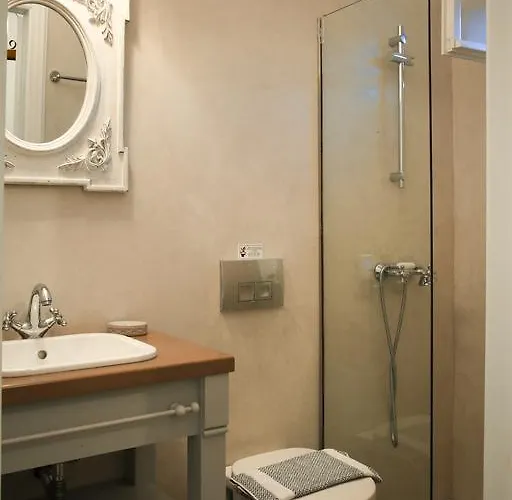 Ξενοδοχείο με διαμερίσματα Saint Louis Άνδρος